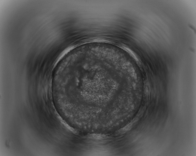 X0000092220910200710121154
