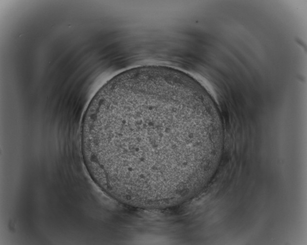 X0000092220911200710121154