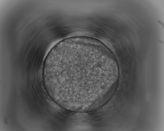 X0000092220912200710121154