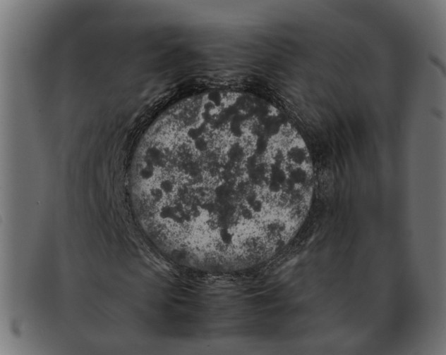 X0000092220913200710121153