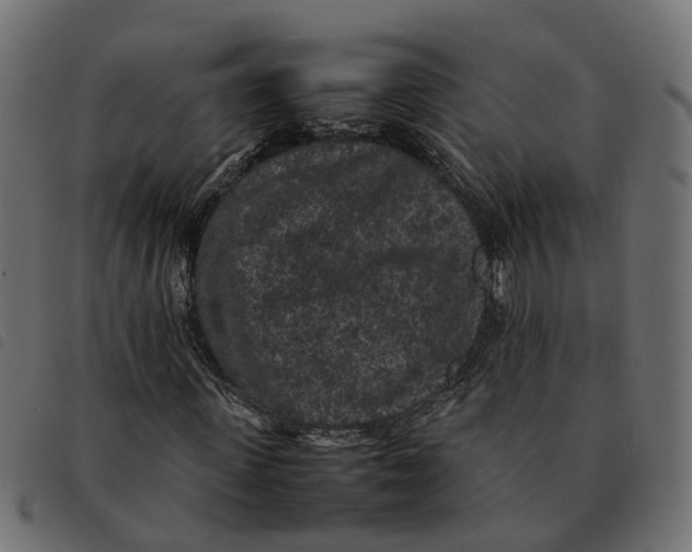 X0000092220915200710121153