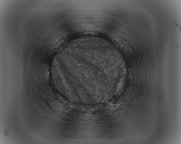 X0000092220916200710121153