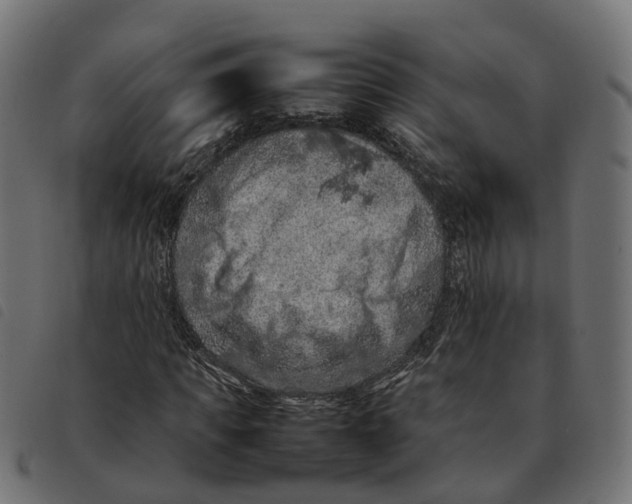 X0000092220917200710121153