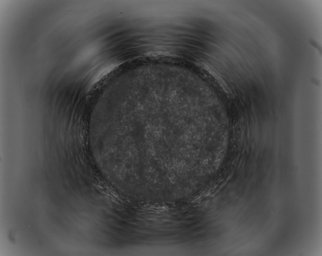 X0000092220919200710121153