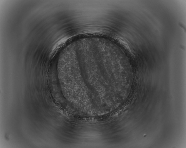 X0000092220920200710121153