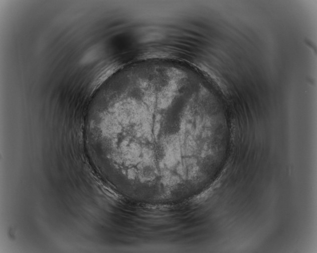 X0000092220921200710121153