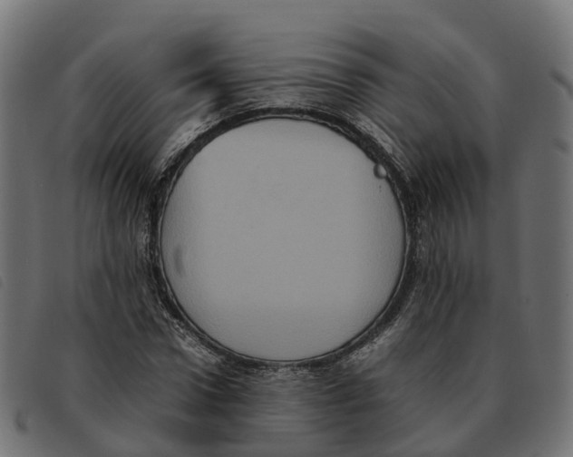 X0000092220922200710121153