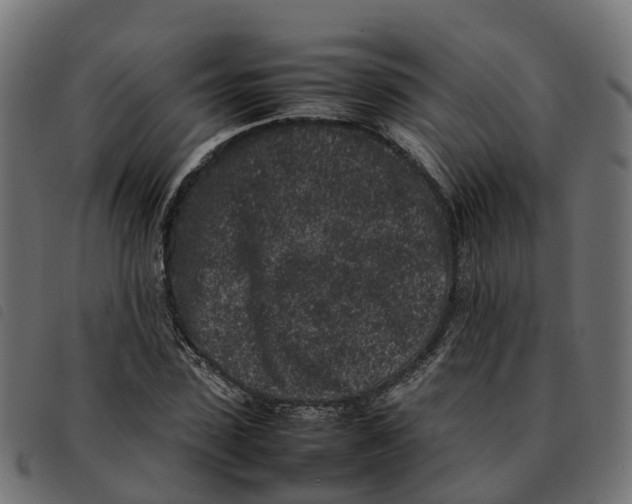 X0000092220923200710121153