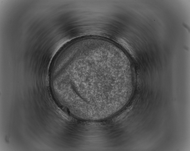 X0000092220924200710121154