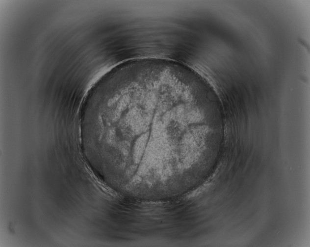 X0000092220925200710121154