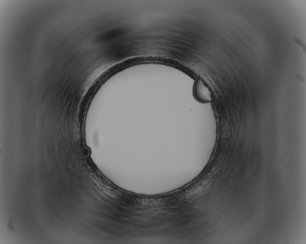X0000092220927200710121154