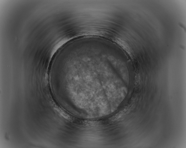 X0000092220928200710121154