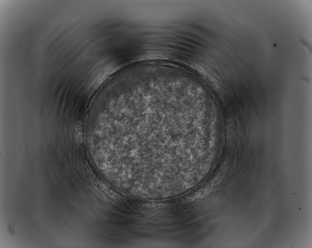 X0000092220929200710121154