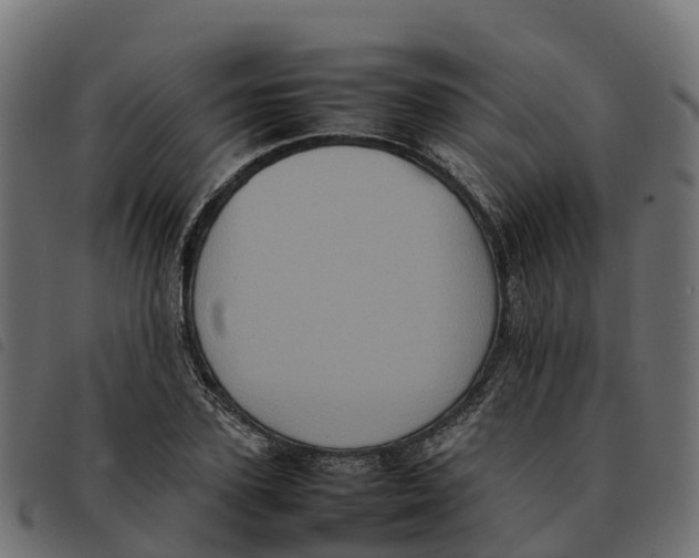 X0000092220931200710121154