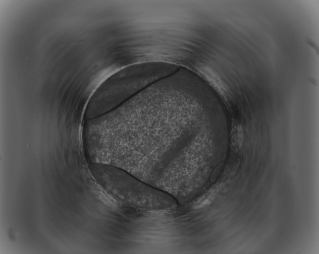 X0000092220932200710121154
