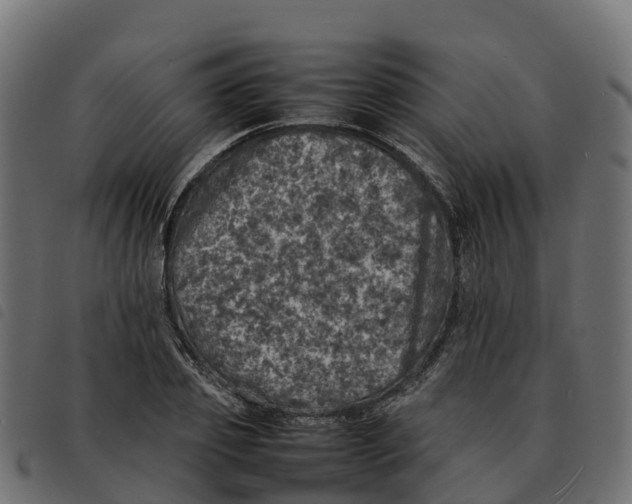 X0000092220933200710121154