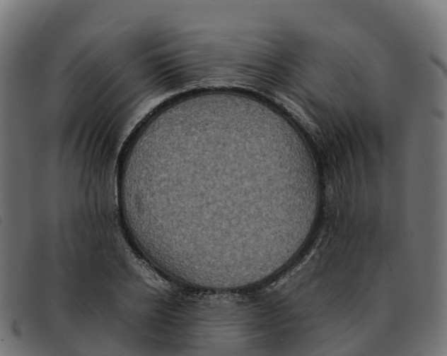 X0000092220934200710121154