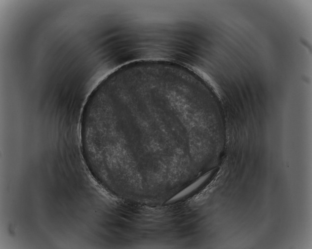 X0000092220935200710121154