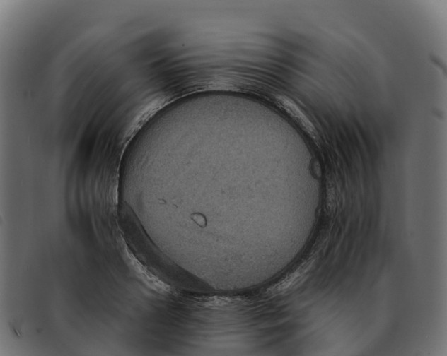 X0000092220938200710121154