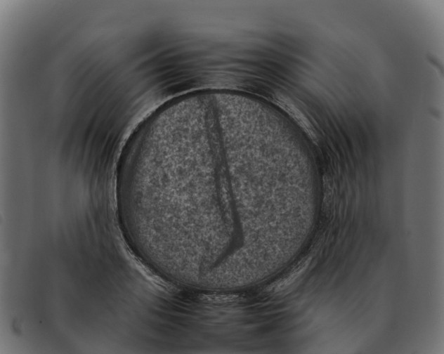 X0000092220939200710121154