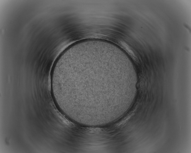 X0000092220940200710121154