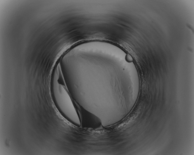 X0000092220941200710121154