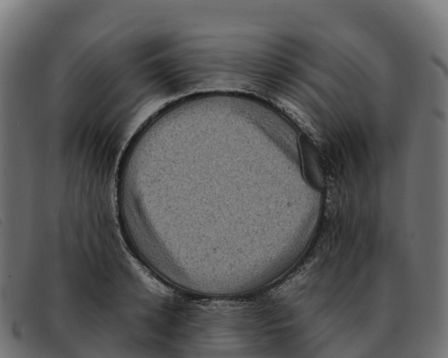 X0000092220942200710121154