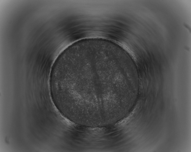 X0000092220943200710121154