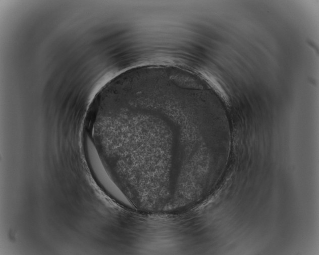 X0000092220944200710121154