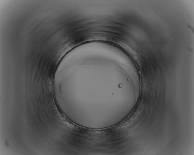 X0000092220945200710121154