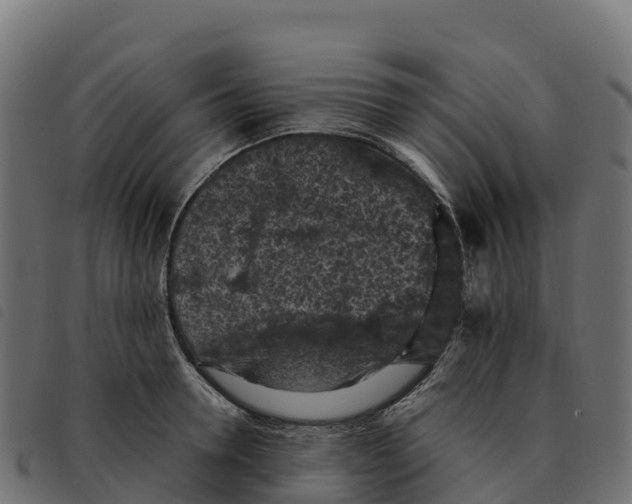 X0000092220946200710121154