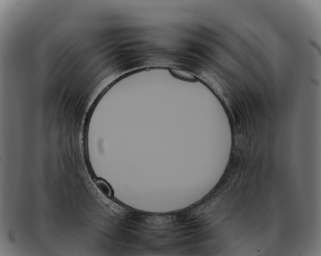 X0000092220947200710121154