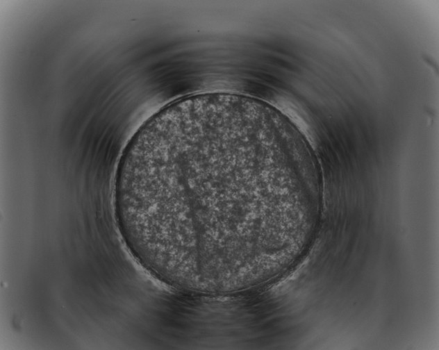 X0000092220949200710121154