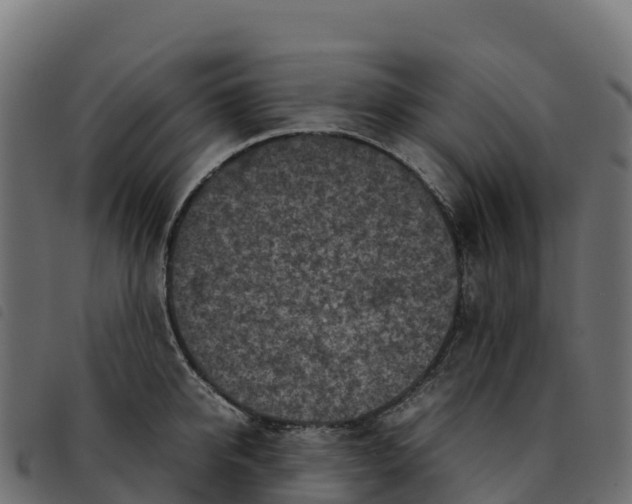 X0000092220950200710121154