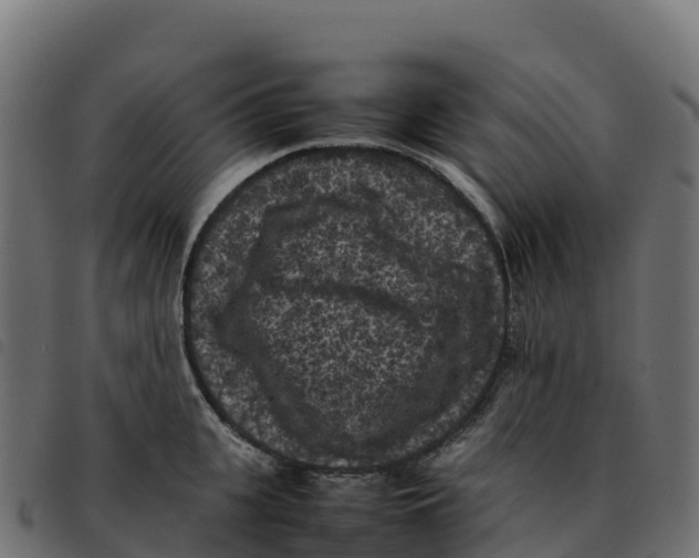 X0000092220951200710121154