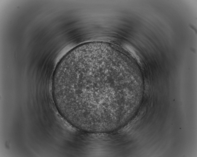 X0000092220952200710121154