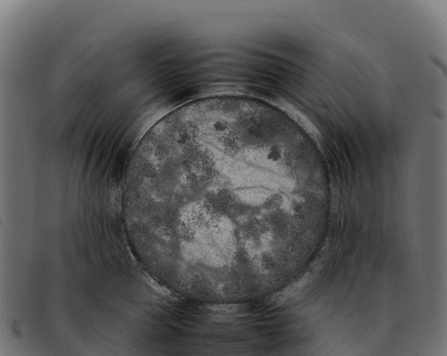 X0000092220953200710121154