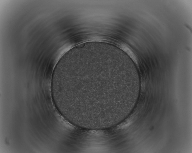 X0000092220954200710121154