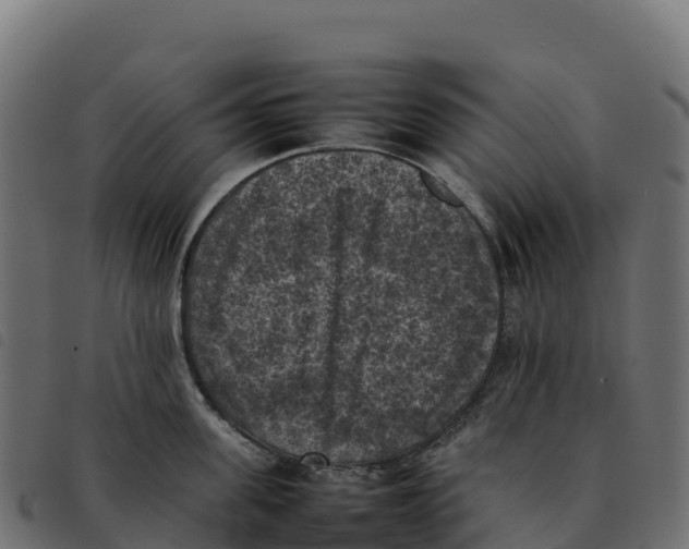 X0000092220955200710121154