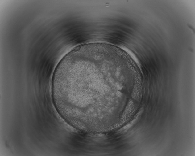 X0000092220957200710121154
