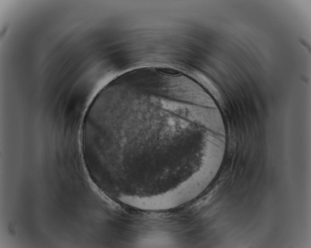 X0000092220958200710121154