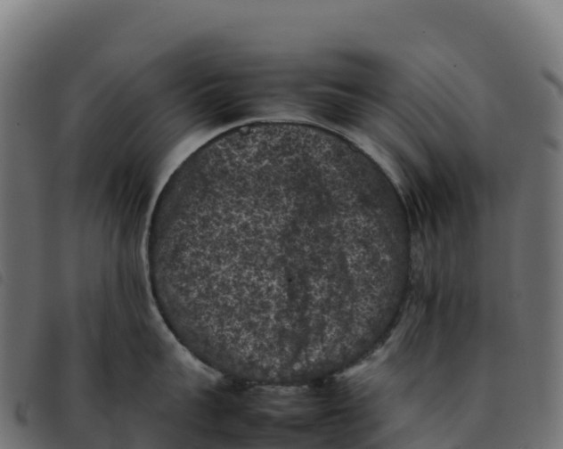 X0000092220959200710121154