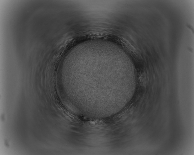 X0000092220961200710121153