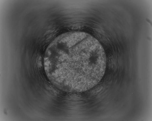 X0000092220962200710121153