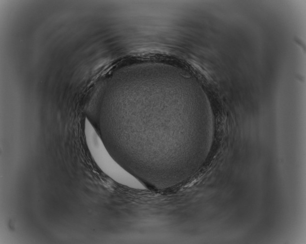 X0000092220965200710121153