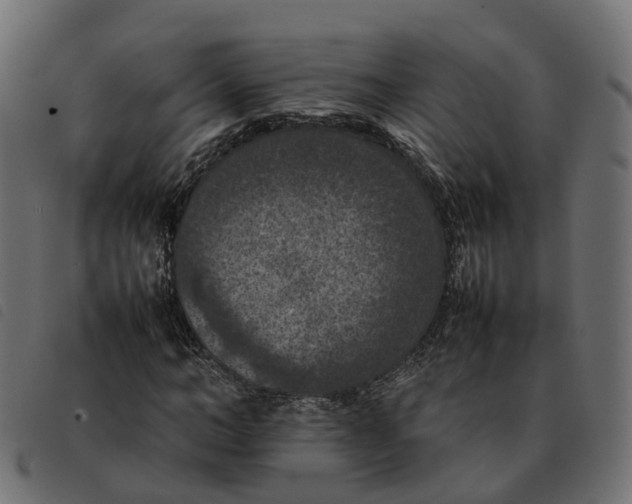X0000092220966200710121153