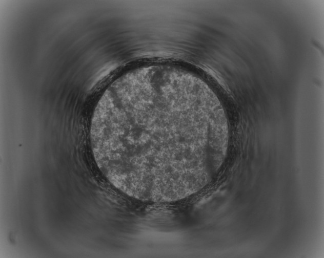 X0000092220967200710121153