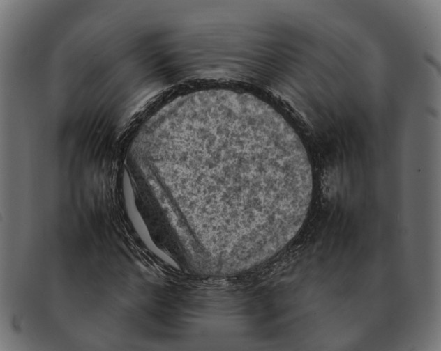 X0000092220968200710121153