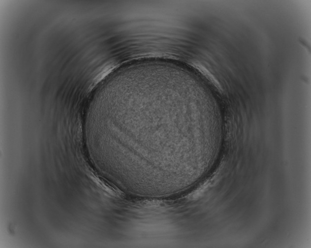 X0000092220969200710121153
