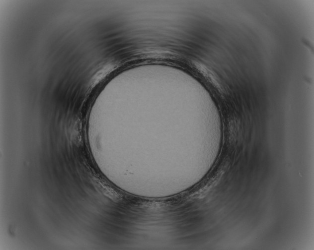 X0000092220970200710121153